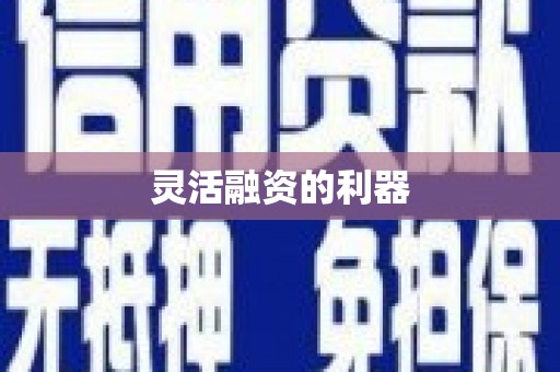 龙山灵活融资的利器