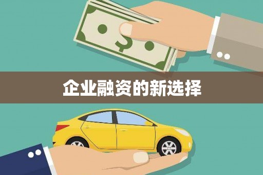 龙山企业融资的新选择