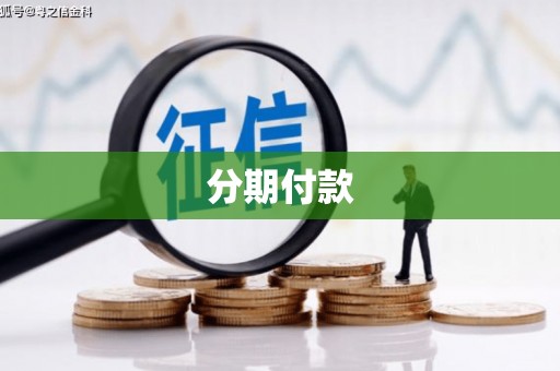 龙山分期付款