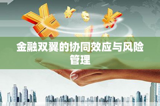 龙山金融双翼的协同效应与风险管理