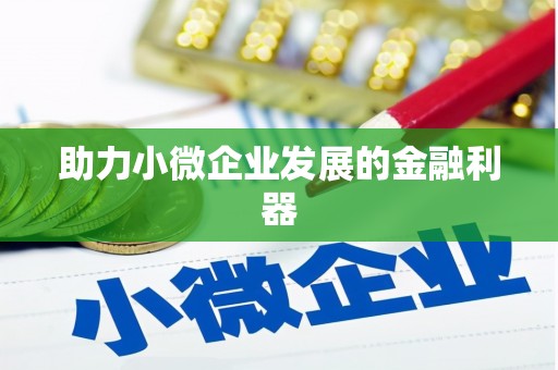 龙山助力小微企业发展的金融利器