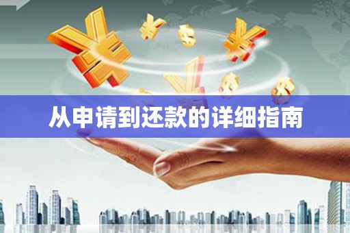龙山从申请到还款的详细指南