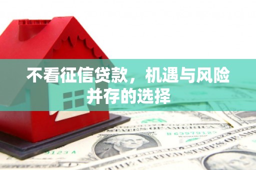 龙山不看征信贷款，机遇与风险并存的选择