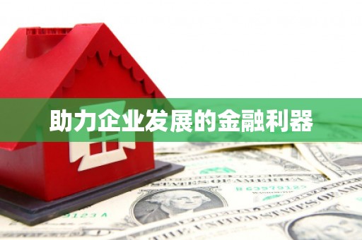 龙山助力企业发展的金融利器