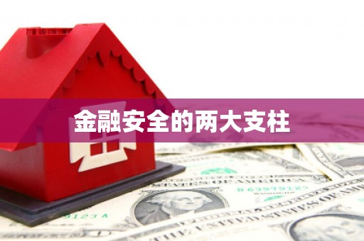 龙山金融安全的两大支柱