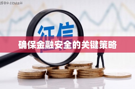 龙山确保金融安全的关键策略