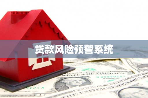 龙山贷款风险预警系统